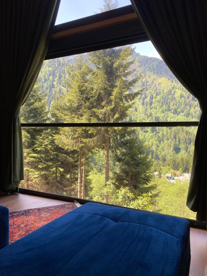 Gueven Dag Evi Ayder Yaylasi