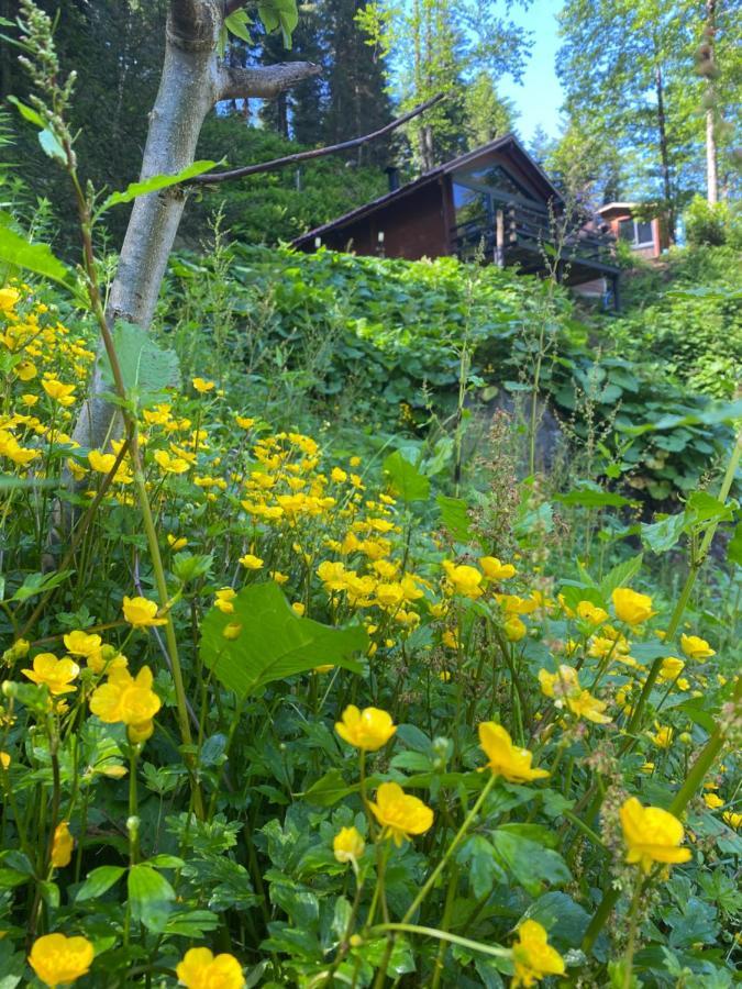 Gueven Dag Evi Chalet